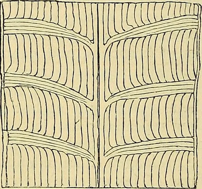 An illustration from The gardener's magazine and register of rural & domestic improvement, 1826, leaf 323