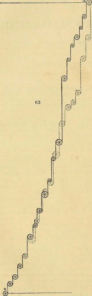 An illustration from The gardener's magazine and register of rural & domestic improvement, 1826, leaf 399
