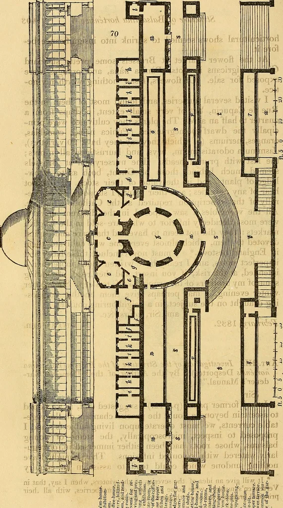An illustration from The gardener's magazine and register of rural & domestic improvement, 1826, leaf 415