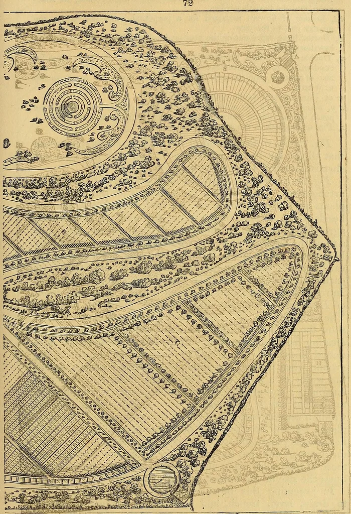 An illustration from The gardener's magazine and register of rural & domestic improvement, 1826, leaf 428