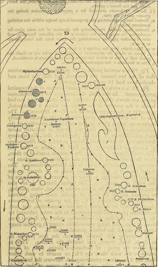 An illustration from The gardener's magazine and register of rural & domestic improvement, 1826, leaf 430
