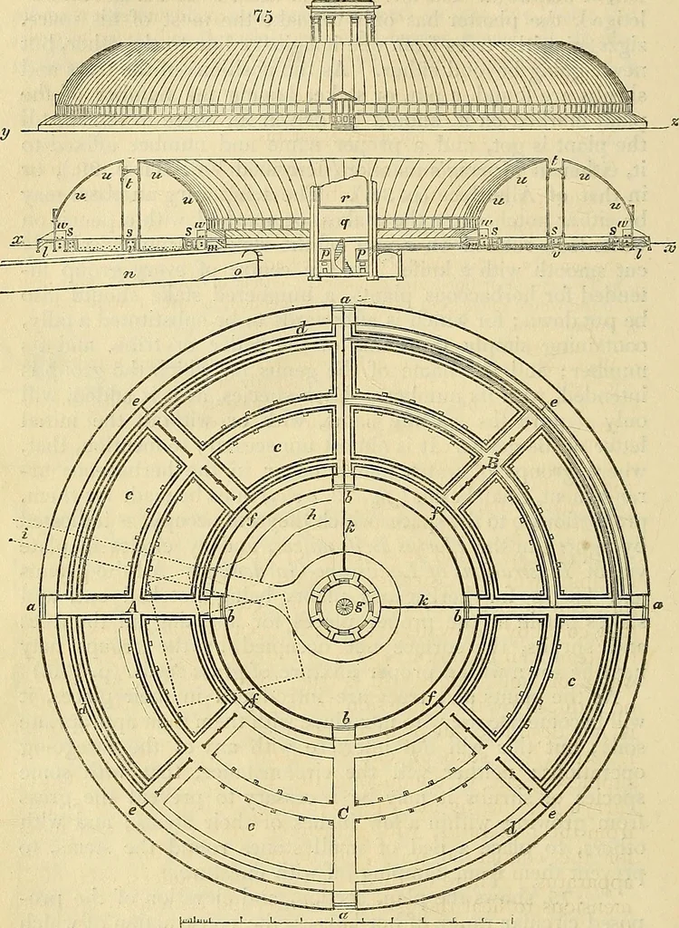 An illustration from The gardener's magazine and register of rural & domestic improvement, 1826, leaf 433