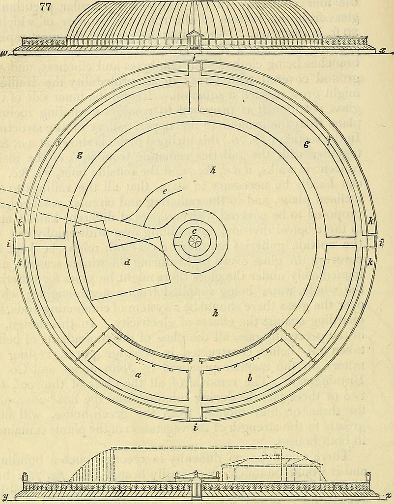 An illustration from The gardener's magazine and register of rural & domestic improvement, 1826, leaf 437