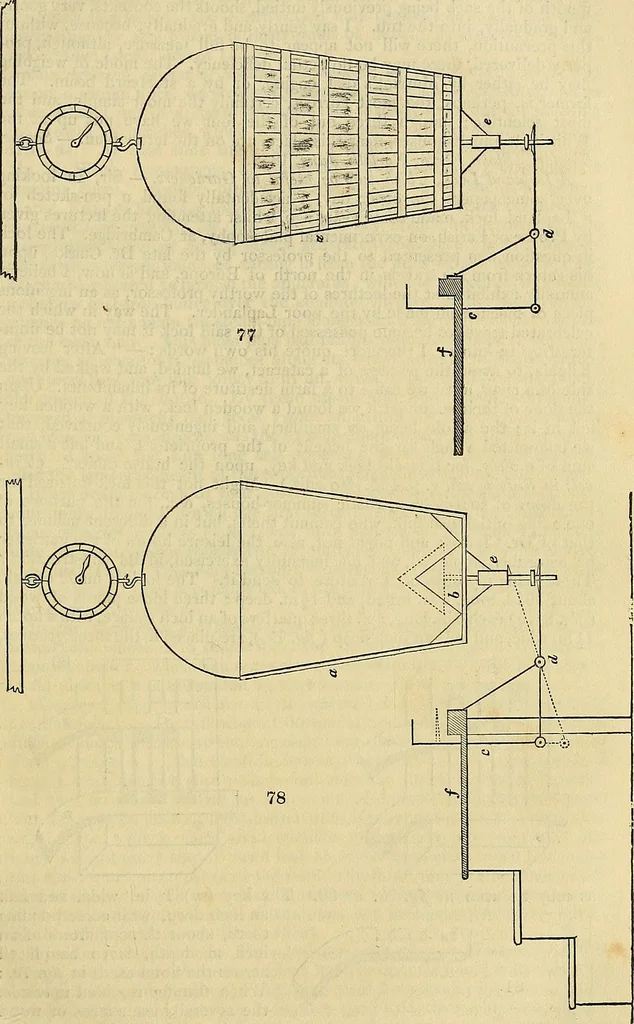An illustration from The gardener's magazine and register of rural & domestic improvement, 1826, leaf 480