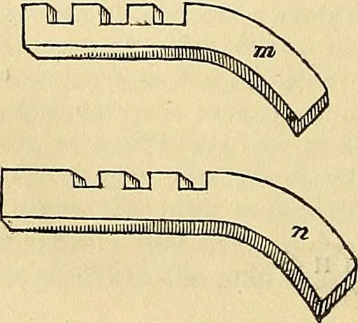 An illustration from The gardener's magazine and register of rural & domestic improvement, 1826, leaf 481