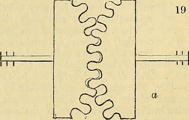 An illustration from The gardener's magazine and register of rural & domestic improvement, 1826, leaf 51