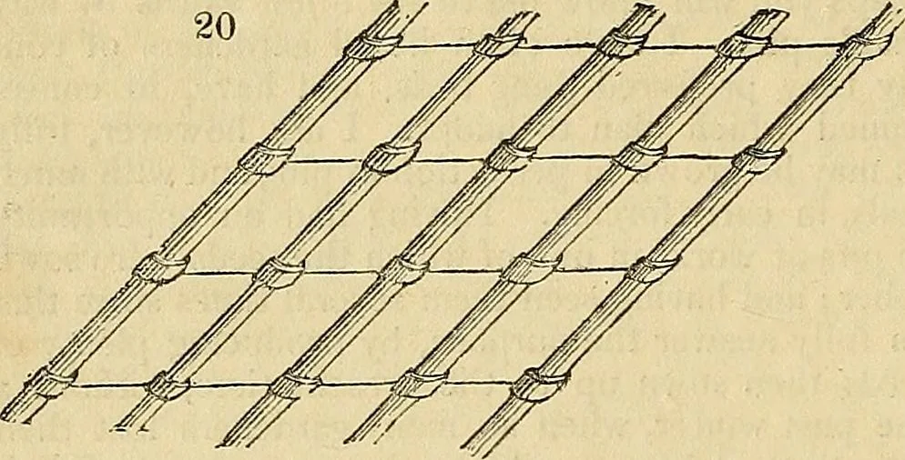 An illustration from The gardener's magazine and register of rural & domestic improvement, 1826, leaf 53