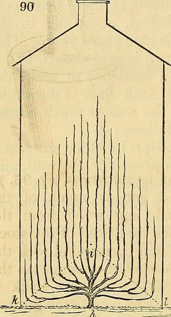 An illustration from The gardener's magazine and register of rural & domestic improvement, 1826, leaf 553