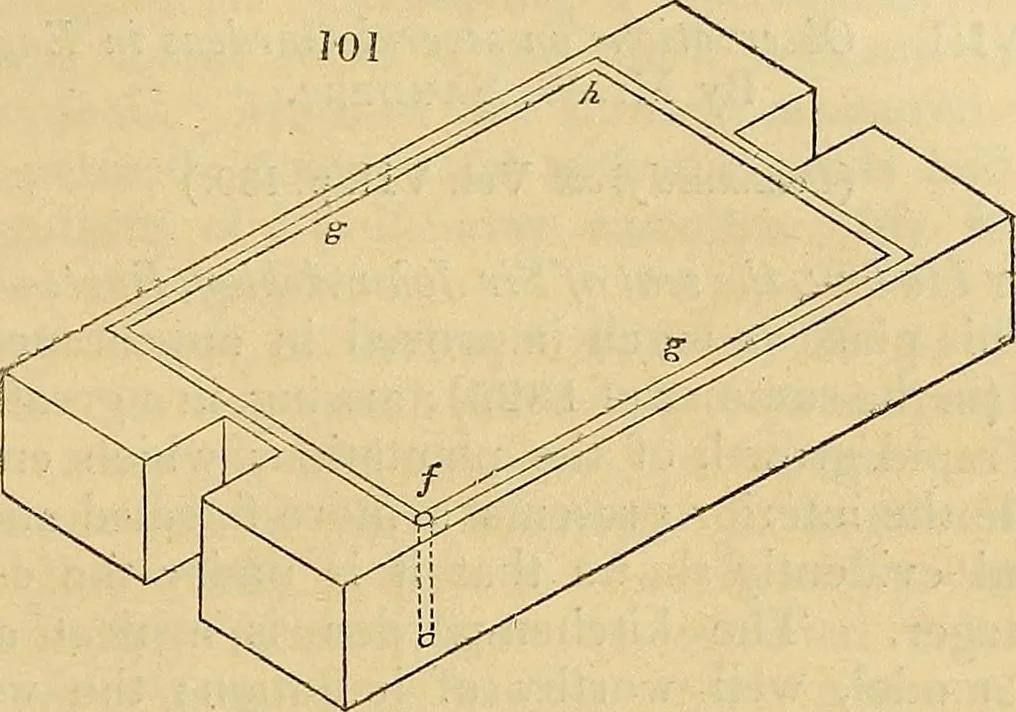 An illustration from The gardener's magazine and register of rural & domestic improvement, 1826, leaf 558