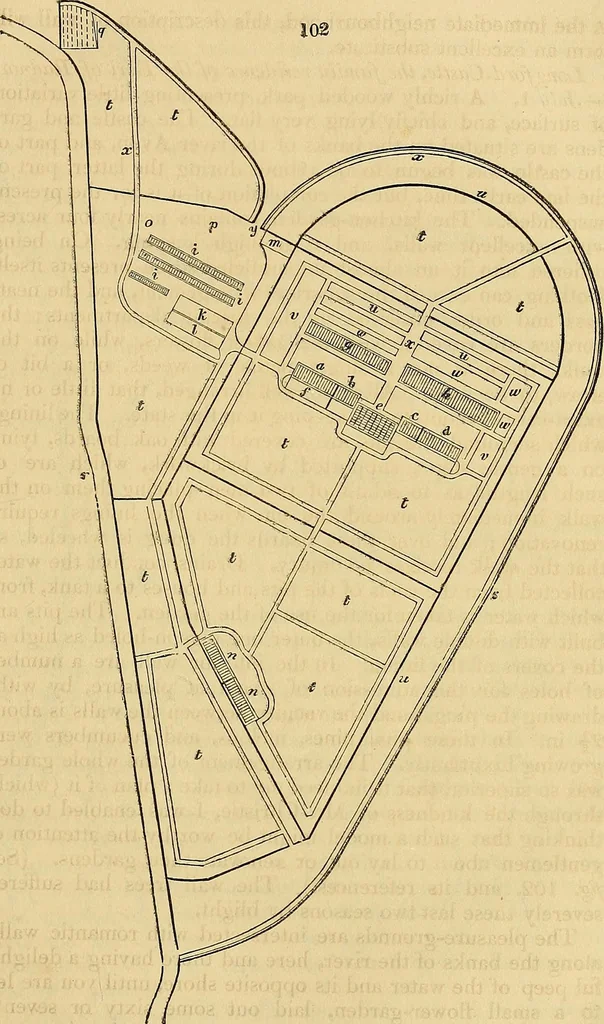 An illustration from The gardener's magazine and register of rural & domestic improvement, 1826, leaf 562