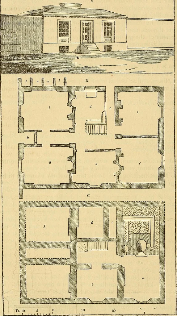 An illustration from The gardener's magazine and register of rural & domestic improvement, 1826, leaf 565