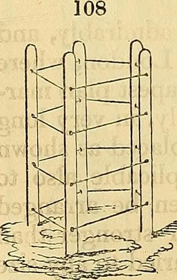 An illustration from The gardener's magazine and register of rural & domestic improvement, 1826, leaf 567