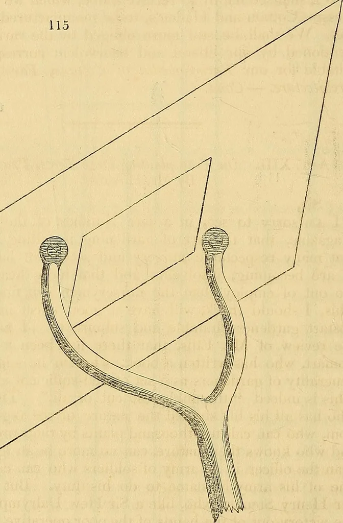 An illustration from The gardener's magazine and register of rural & domestic improvement, 1826, leaf 571