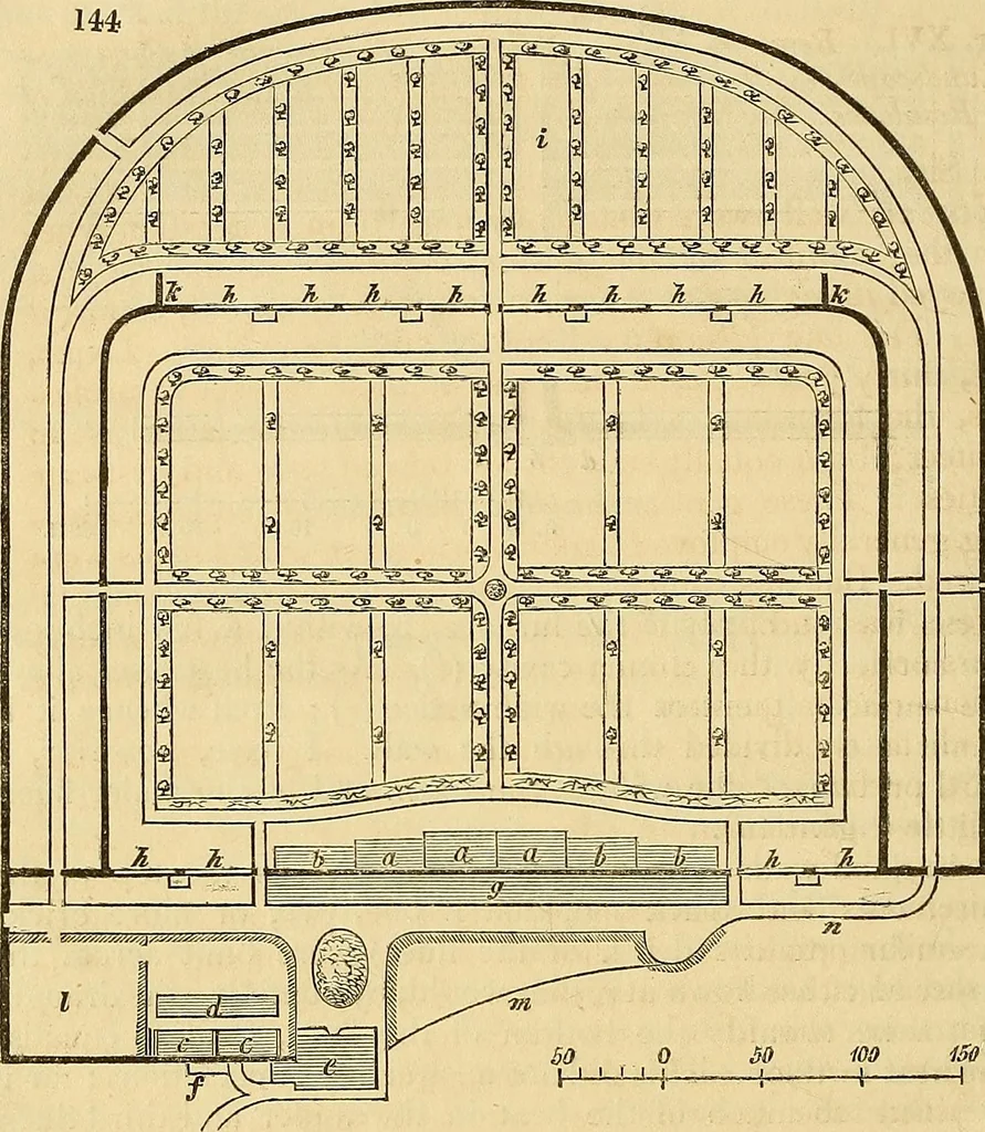 An illustration from The gardener's magazine and register of rural & domestic improvement, 1826, leaf 685