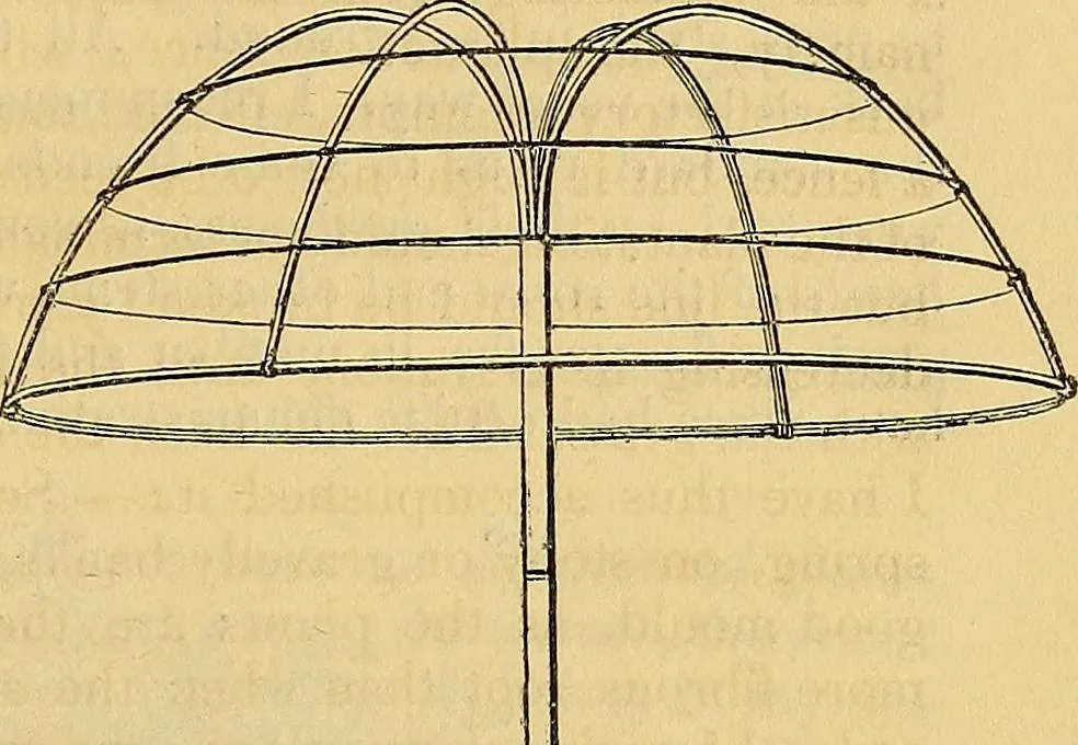 An illustration from The gardener's magazine and register of rural & domestic improvement, 1826, leaf 692