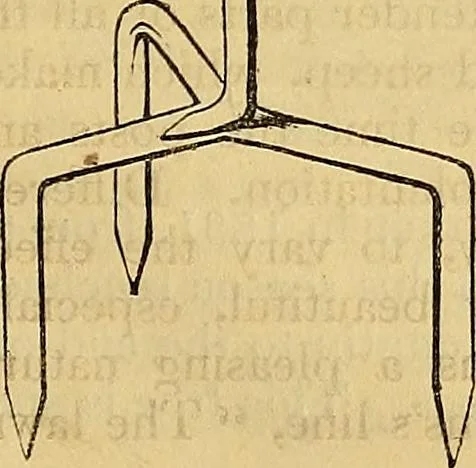 An illustration from The gardener's magazine and register of rural & domestic improvement, 1826, leaf 692