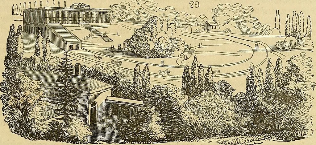 An illustration from The gardener's magazine and register of rural & domestic improvement, 1826, leaf 80