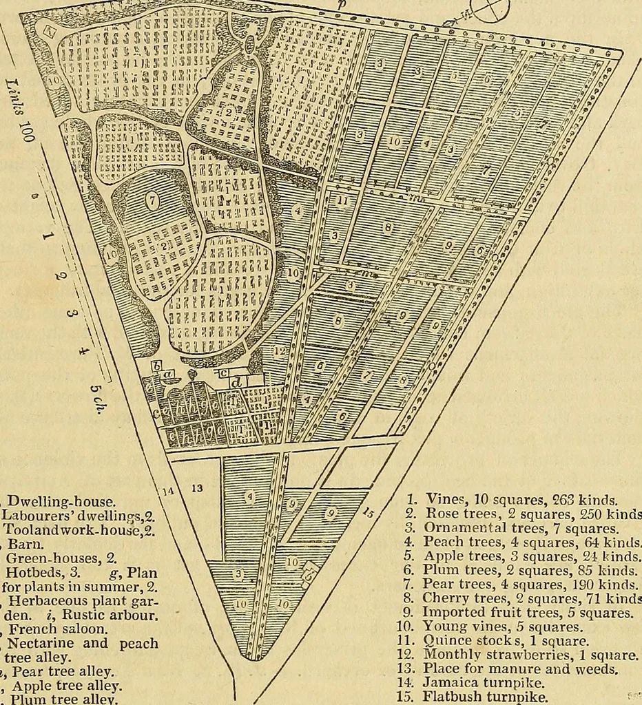 An illustration from The gardener's magazine and register of rural & domestic improvement, 1826, leaf 84