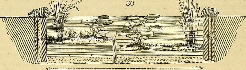 An illustration from The gardener's magazine and register of rural & domestic improvement, 1826, leaf 97