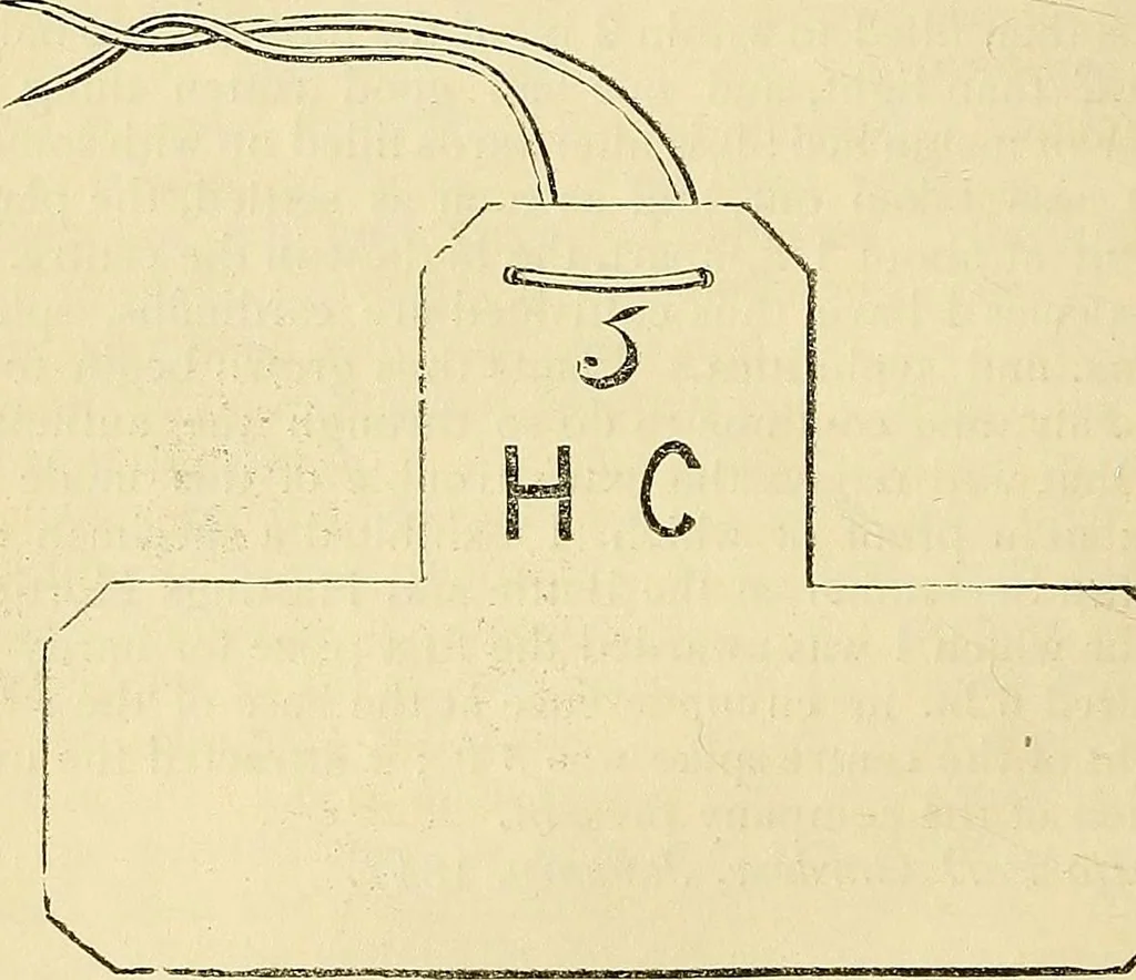 An illustration from The gardener's magazine and register of rural & domestic improvement, 1826, leaf 136