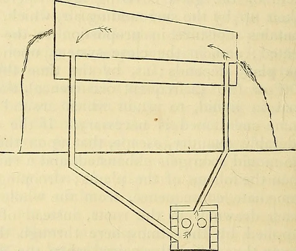 An illustration from The gardener's magazine and register of rural & domestic improvement, 1826, leaf 304