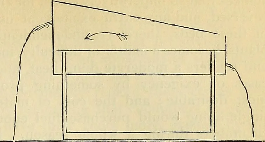 An illustration from The gardener's magazine and register of rural & domestic improvement, 1826, leaf 305