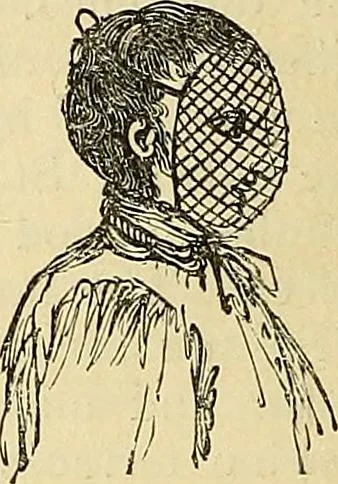An illustration from The gardener's magazine and register of rural & domestic improvement, 1826, leaf 378