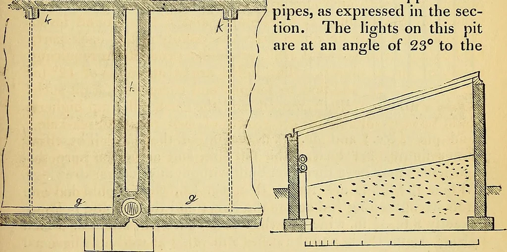 An illustration from The gardener's magazine and register of rural & domestic improvement, 1826, leaf 481