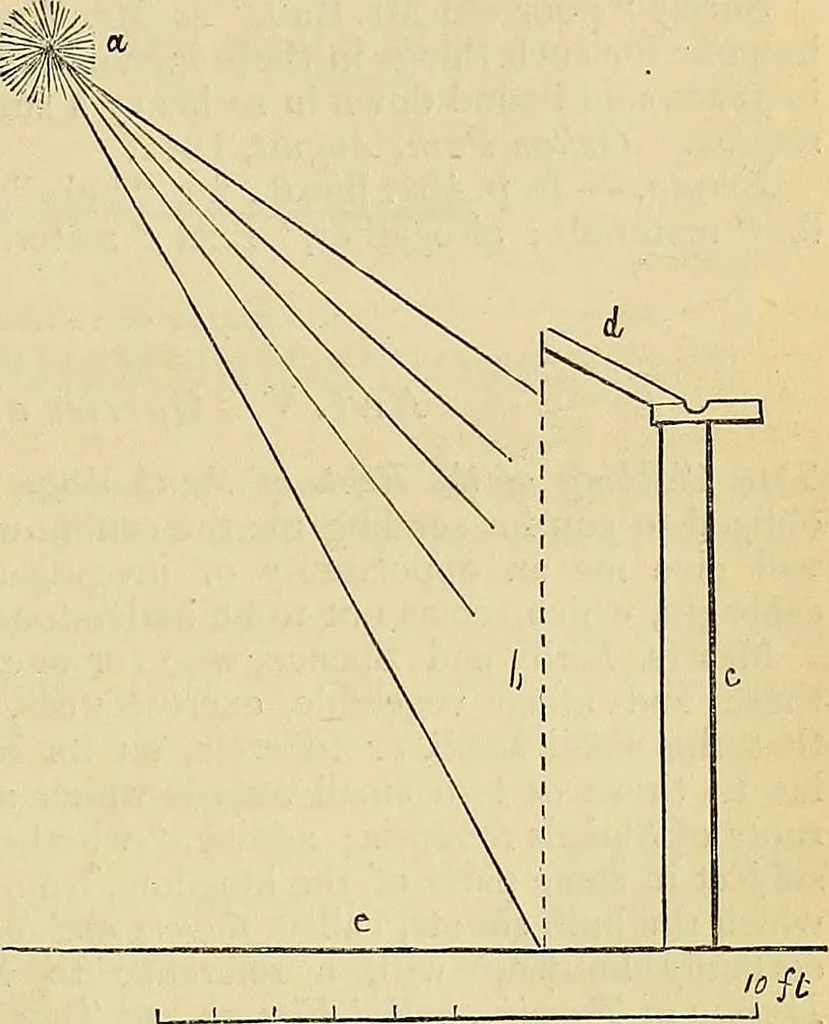 An illustration from The gardener's magazine and register of rural & domestic improvement, 1826, leaf 501