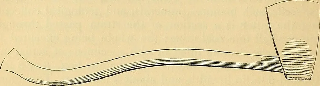 An illustration from The gardener's magazine and register of rural & domestic improvement, 1826, leaf 620