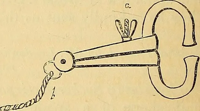 An illustration from The gardener's magazine and register of rural & domestic improvement, 1826, leaf 620