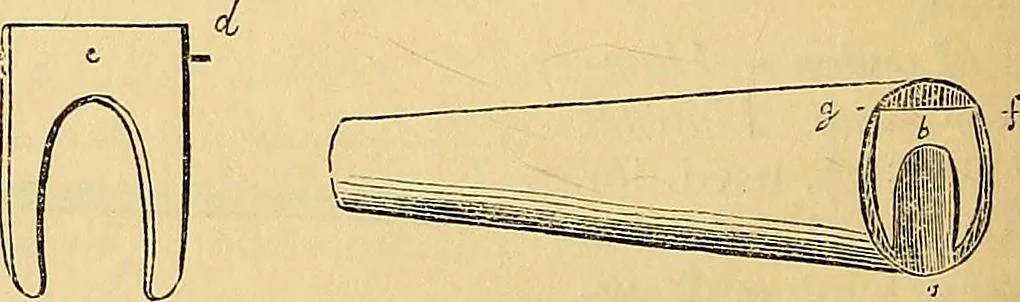 An illustration from The gardener's magazine and register of rural & domestic improvement, 1826, leaf 620