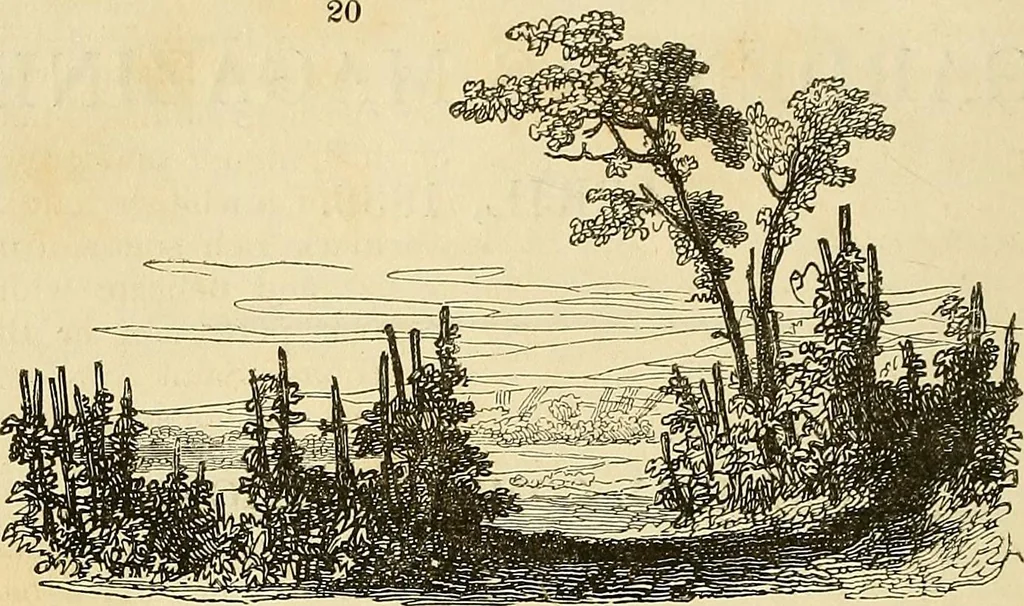 An illustration from The gardener's magazine and register of rural & domestic improvement, 1826, leaf 140