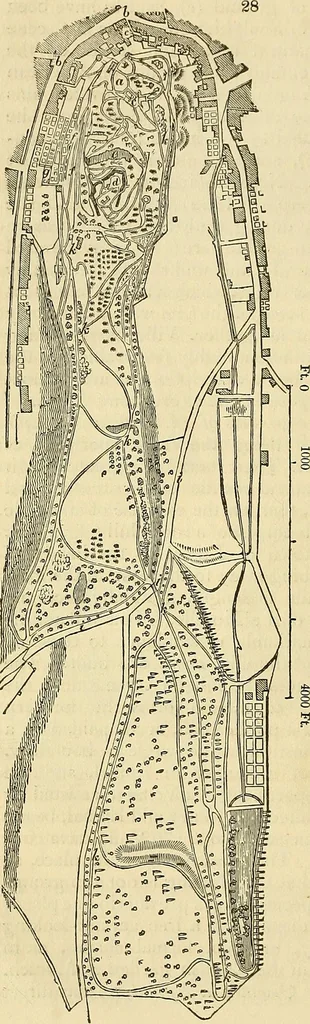 An illustration from The gardener's magazine and register of rural & domestic improvement, 1826, leaf 148