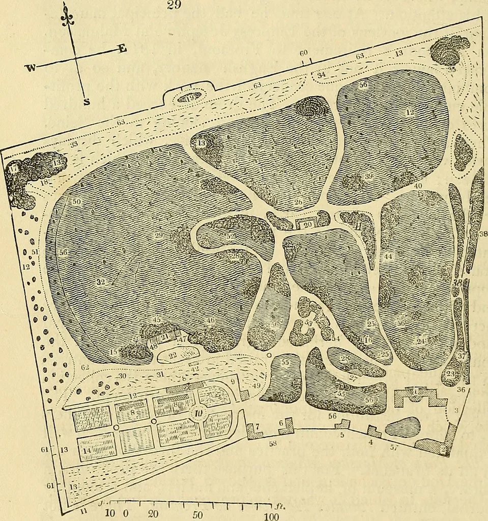 An illustration from The gardener's magazine and register of rural & domestic improvement, 1826, leaf 152