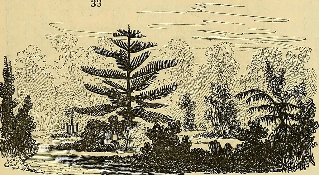 An illustration from The gardener's magazine and register of rural & domestic improvement, 1826, leaf 157