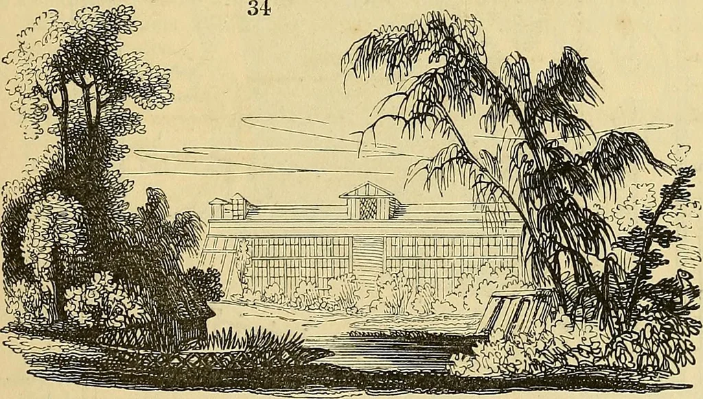 An illustration from The gardener's magazine and register of rural & domestic improvement, 1826, leaf 157