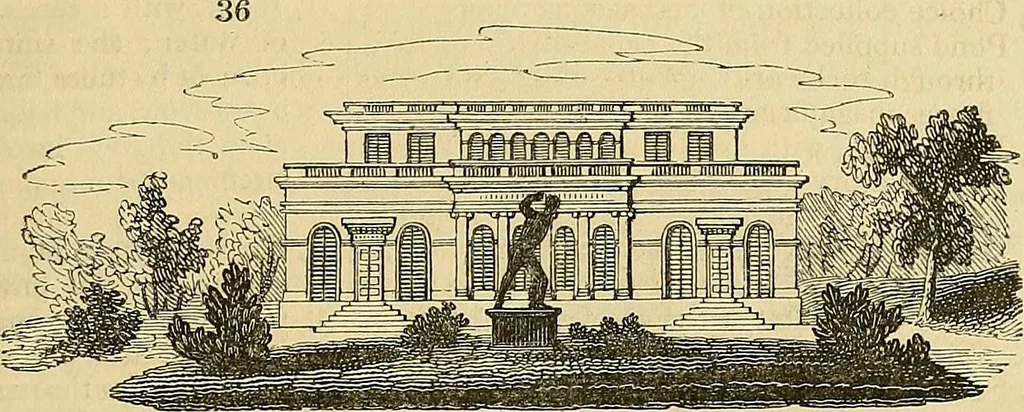 An illustration from The gardener's magazine and register of rural & domestic improvement, 1826, leaf 161