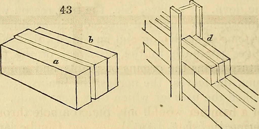 An illustration from The gardener's magazine and register of rural & domestic improvement, 1826, leaf 204