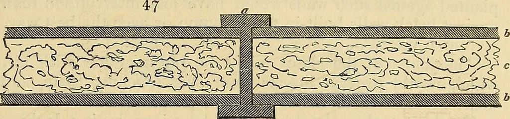 An illustration from The gardener's magazine and register of rural & domestic improvement, 1826, leaf 205