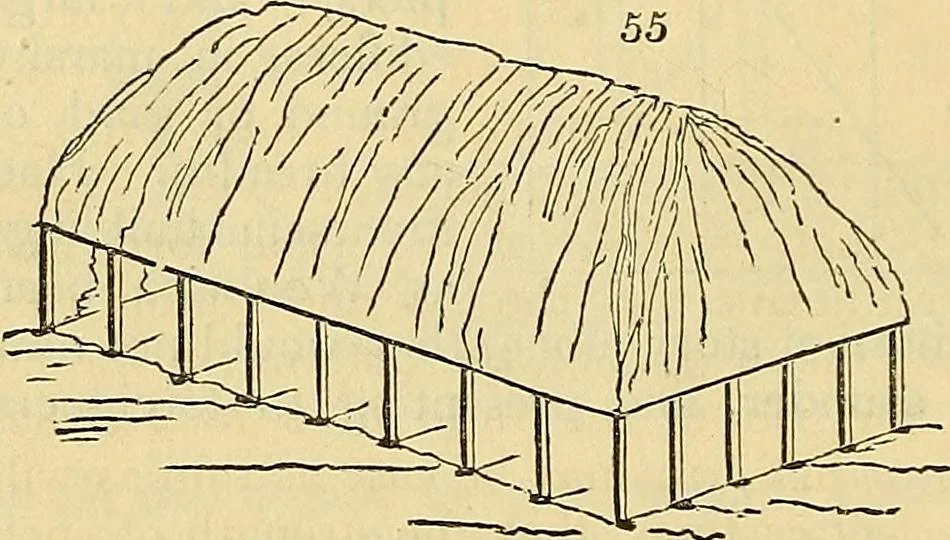 An illustration from The gardener's magazine and register of rural & domestic improvement, 1826, leaf 208