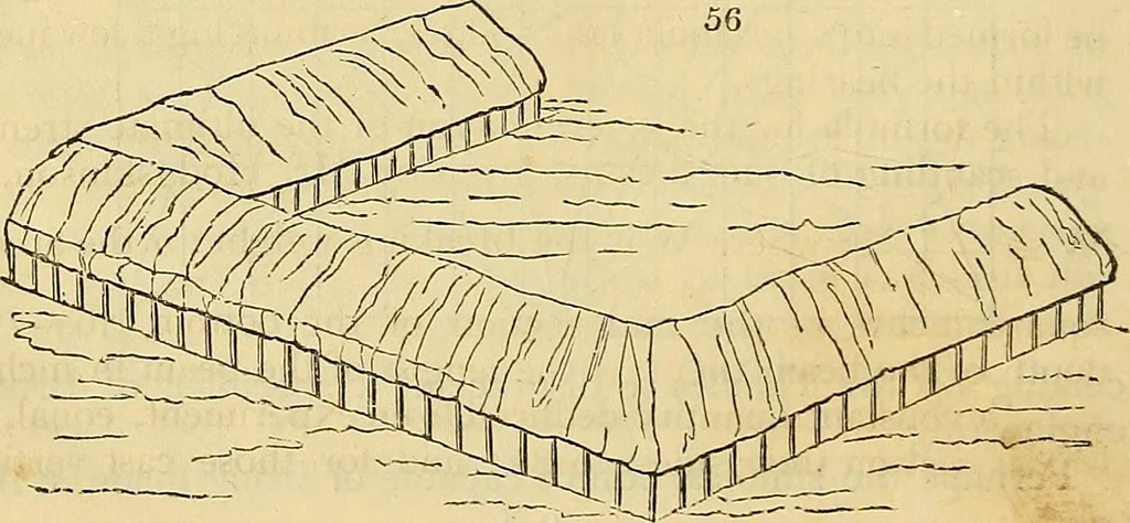 An illustration from The gardener's magazine and register of rural & domestic improvement, 1826, leaf 208