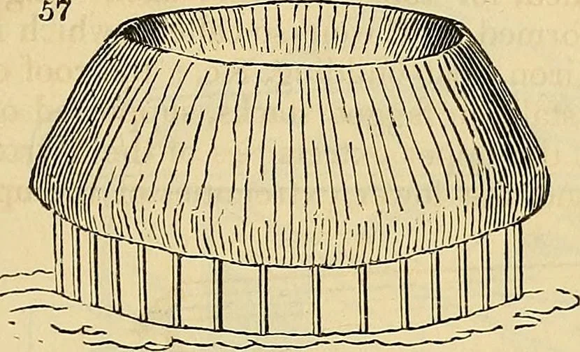 An illustration from The gardener's magazine and register of rural & domestic improvement, 1826, leaf 209