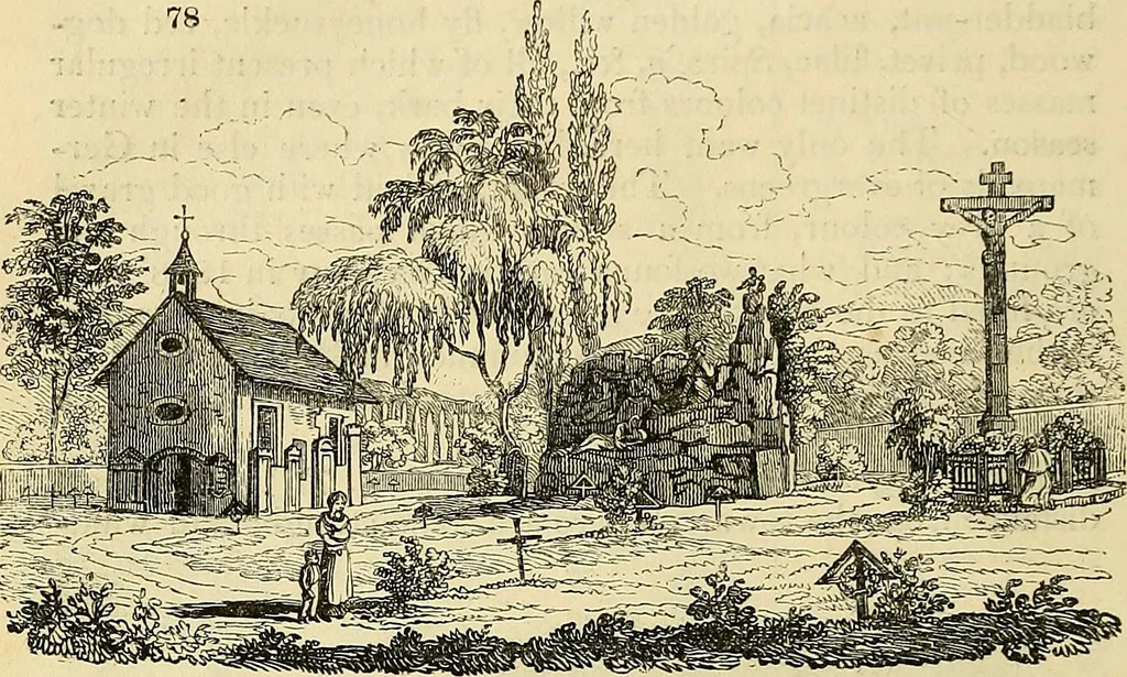 An illustration from The gardener's magazine and register of rural & domestic improvement, 1826, leaf 276