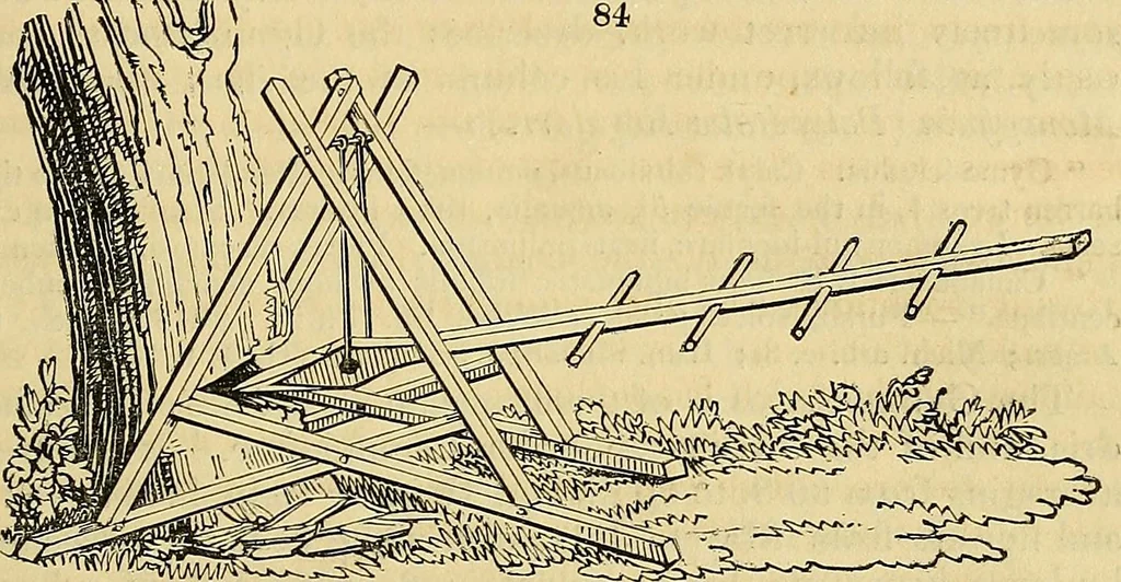 An illustration from The gardener's magazine and register of rural & domestic improvement, 1826, leaf 307