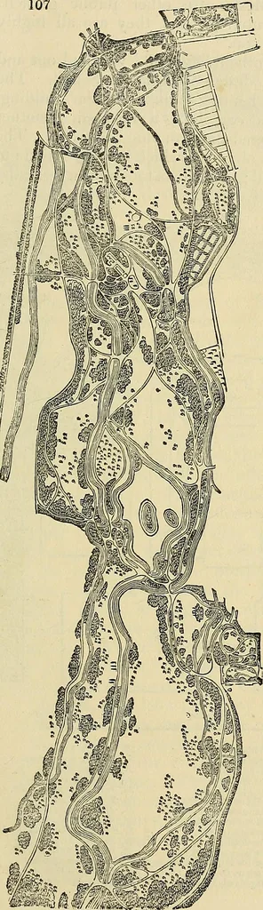 An illustration from The gardener's magazine and register of rural & domestic improvement, 1826, leaf 409