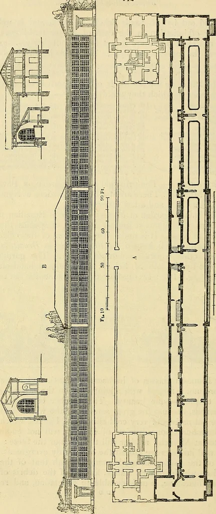 An illustration from The gardener's magazine and register of rural & domestic improvement, 1826, leaf 414