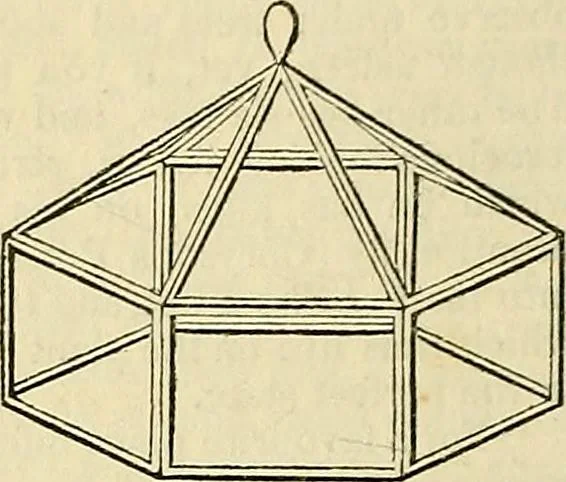 An illustration from The gardener's magazine and register of rural & domestic improvement, 1826, leaf 456