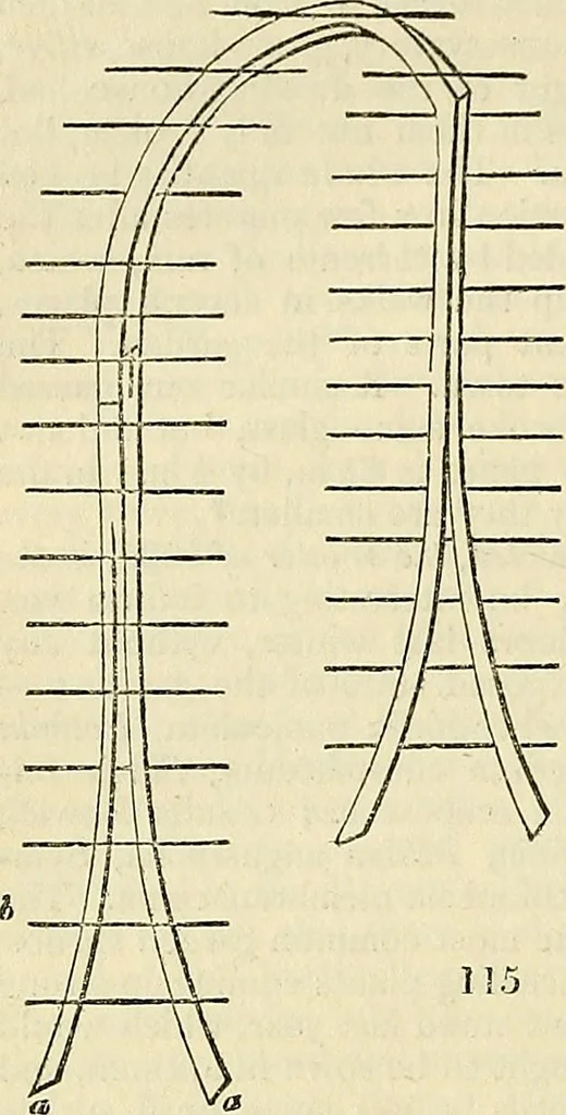 An illustration from The gardener's magazine and register of rural & domestic improvement, 1826, leaf 476