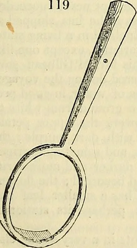 An illustration from The gardener's magazine and register of rural & domestic improvement, 1826, leaf 483
